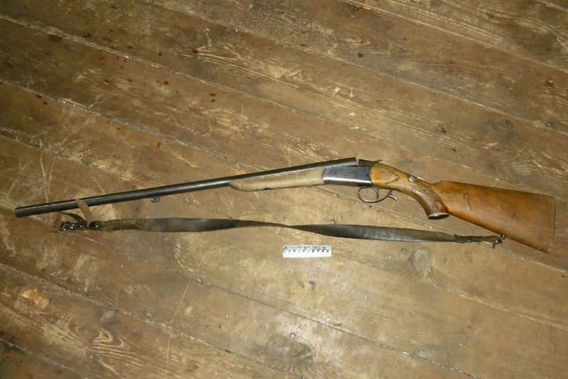 Житель Нижнего Тагила привлекается к уголовной ответственности за незаконную охоту