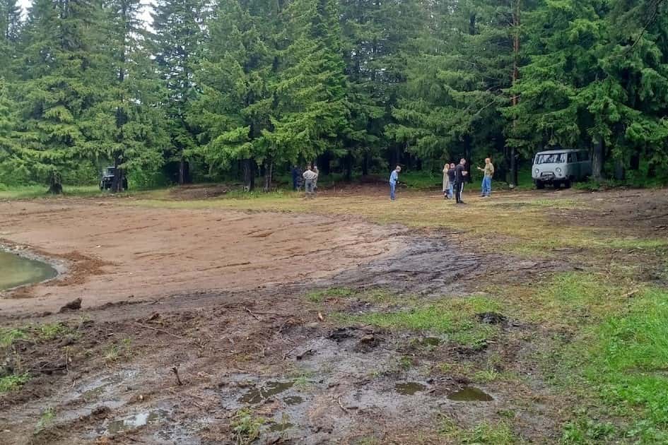 Вырубили деревья, чтобы обустроить пляж: под Нижним Тагилом уничтожили участок леса
