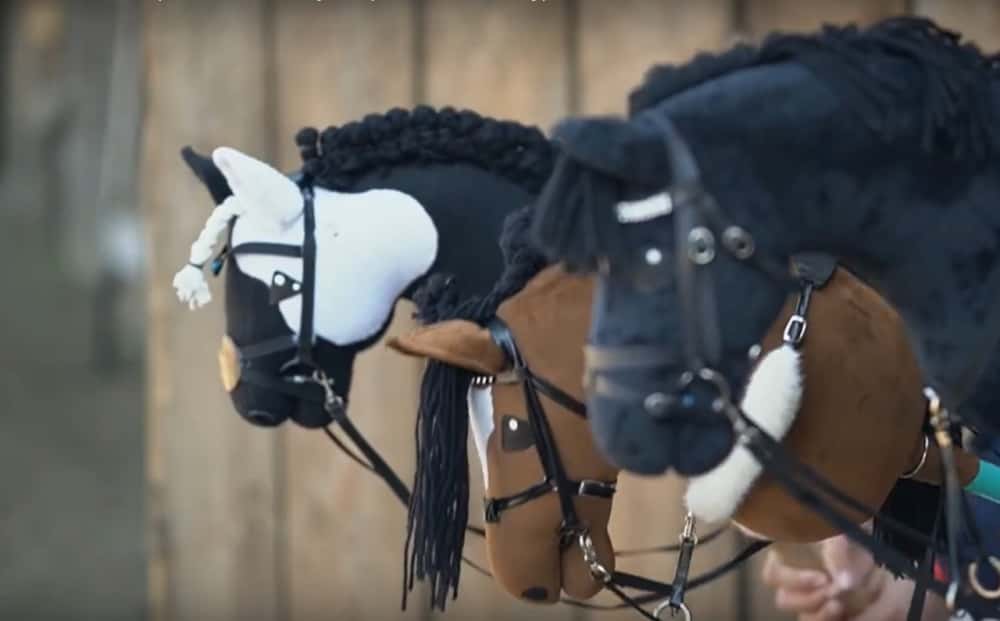Соревнования по хоббихорсингу вновь пройдут в Нижнем Тагиле