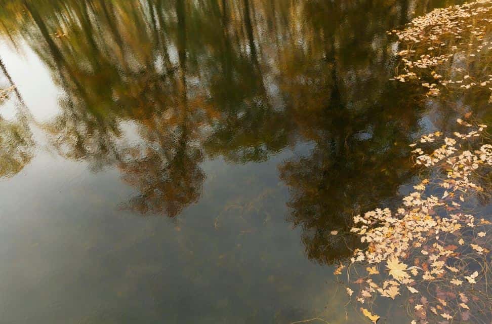 В Нижнем Тагиле возбудили уголовное дело по факту проведения несогласованных работ на особо охраняемой природной территории – Черноисточинском водохранилище