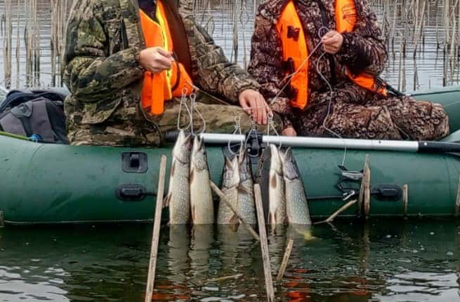 На Урале рыбаки поймали трехкилограммовую щуку