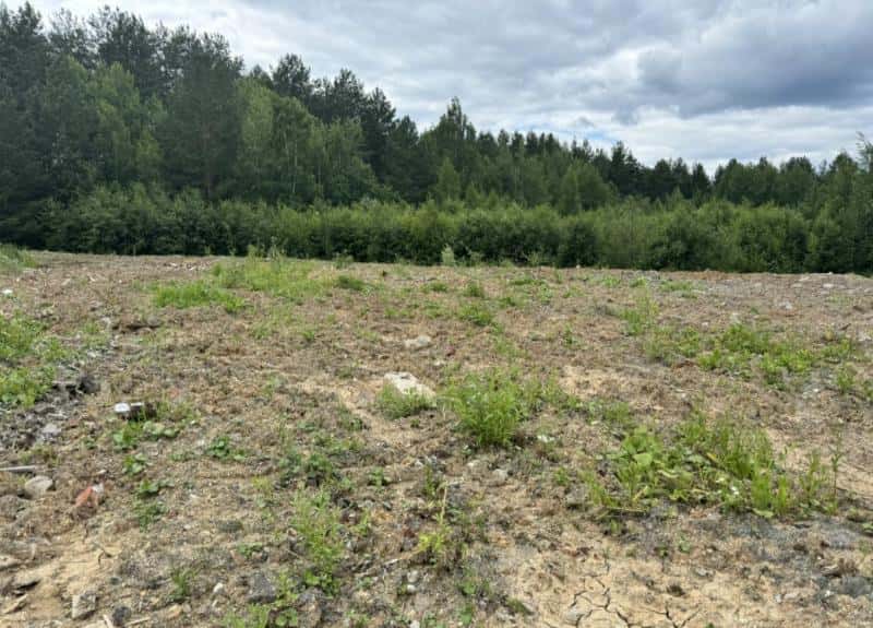 В Нижнем Тагиле убрали свалку площадью 15 тысяч квадратных метров