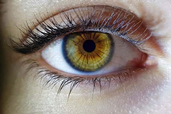 Какие витамины помогут сохранить зрение: эксперт перечислила продукты, в которых они содержатся