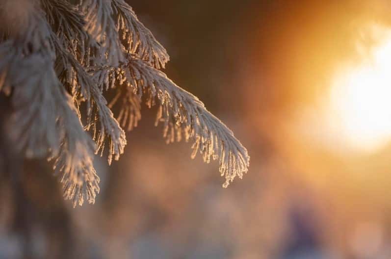 Синоптики рассказали, когда в Свердловскую область придет теплый воздух с Атлантики