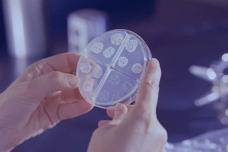 На границе России с Казахстаном зафиксировали вспышку нового вируса