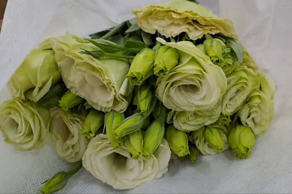 Подготовка к 8 Марта идет полным ходом: на Урал прибыла первая партия цветов из Китая