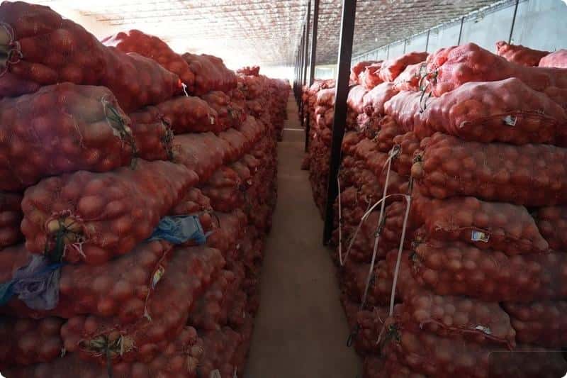 В магазины Свердловской области начнут поступать овощи и фрукты из Киргизии