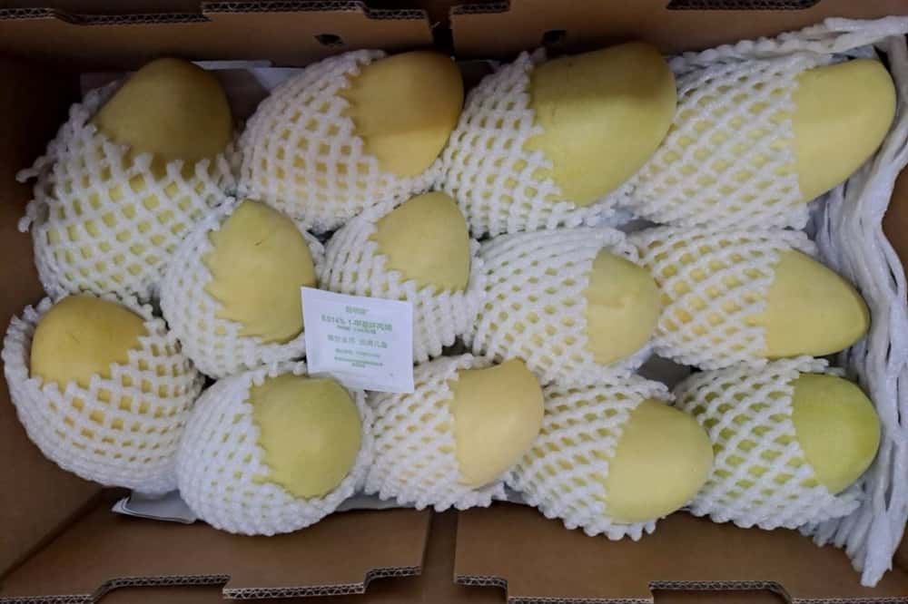 В Свердловскую область увеличились поставки экзотических фруктов из Китая