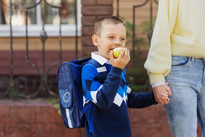 Россельхознадзор выявил поставки небезопасных продуктов в школы Свердловской области