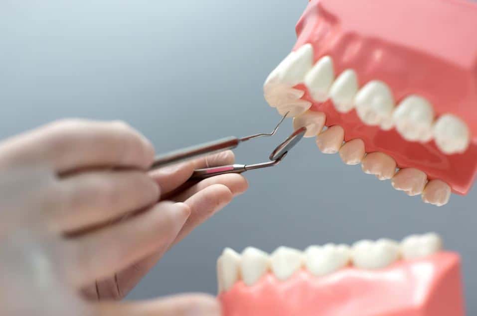 Ученые вырастили человеческий зуб в лаборатории: эксперт рассказал, что это значит для будущего стоматологии