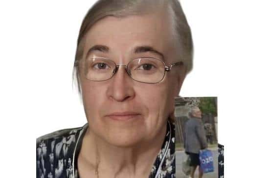 Водители, ехавшие в сторону Нижнего Тагила, могли видеть пропавшую пенсионерку