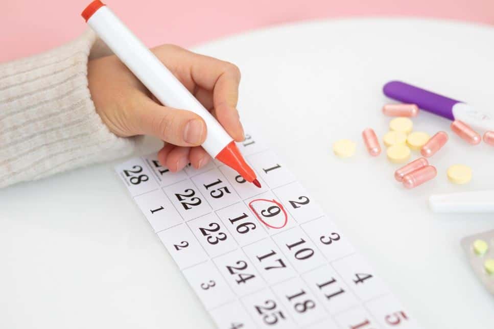 День города в Нижнем Тагиле отметят 8-10 августа: полная программа мероприятий