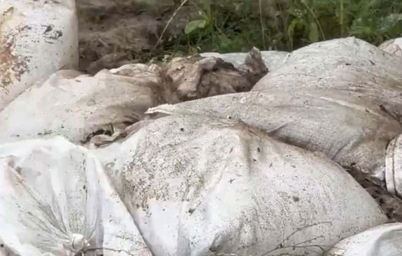 В Нижнем Тагиле у леса нашли свалку с мешками останков животных