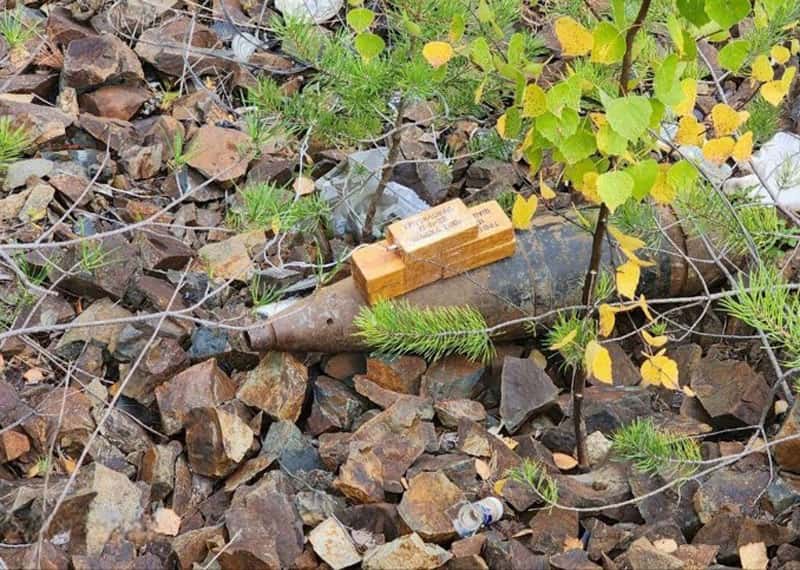 В Свердловской области в лесу возле Серовского тракта обнаружен боевой артиллерийский снаряд 152 мм