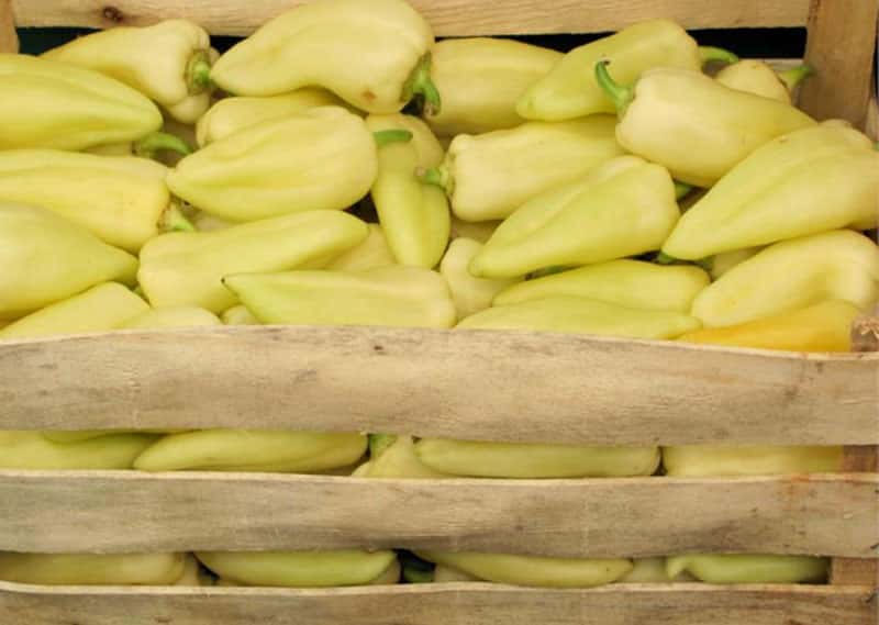 Россельхознадзор проверил свежий перец из Казахстана в Екатеринбурге: карантинных объектов не выявлено