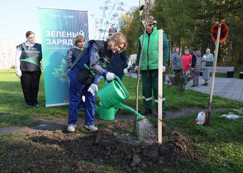 В Нижнем Тагиле высадили рябины на площади Танкостроителей: акция «Зелёный заряд» объединила горожан