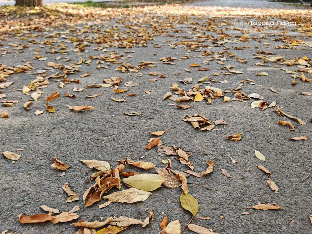 Погода в Нижнем Тагиле на 28 сентября: пасмурно и до +2°C