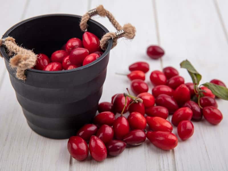 Народные приметы на 1 октября — что нельзя делать в День Арины Шиповницы