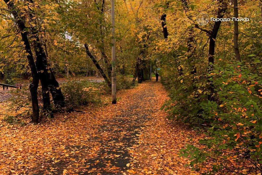 15 октября — Куприянов день: что нельзя делать и какие приметы сулят погоду на зиму