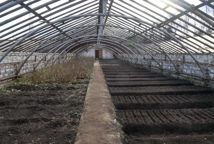 В Нижнем Тагиле возрождают питомник «Горзеленхоз»: планируют создать дендрарий и плодовый сад