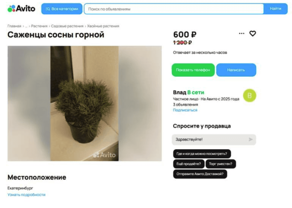 В Екатеринбурге парень продавал через Avito растения для благоустройства двора ЖК
