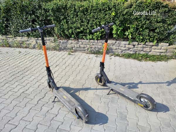 Минтранс РФ: водительские права для электросамокатов пока не нужны