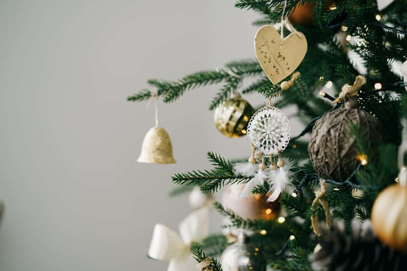 От 71 до 365 рублей: в Нижнем Тагиле назвали цены на легальные новогодние ёлки от лесничества