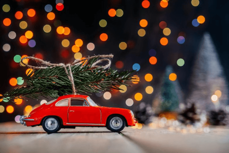 660 тагильских школьников встретят Новый год в загородных лагерях: куда и за сколько можно отправить ребёнка на каникулы