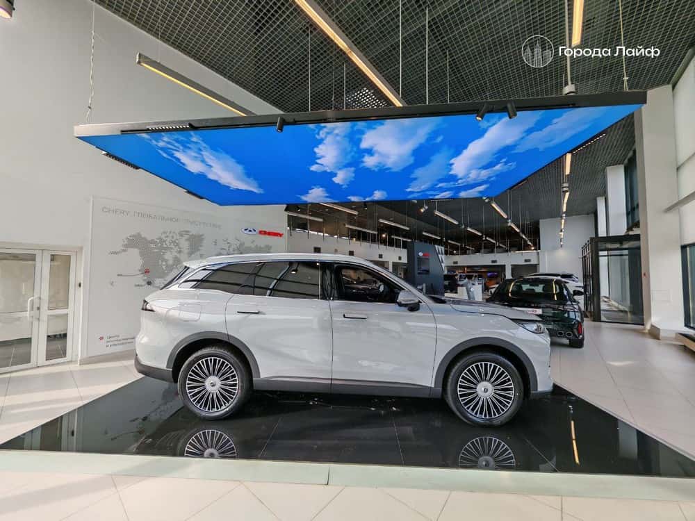 Путин одобрил продажу «красивых» номеров через Госуслуги: что ждёт автовладельцев