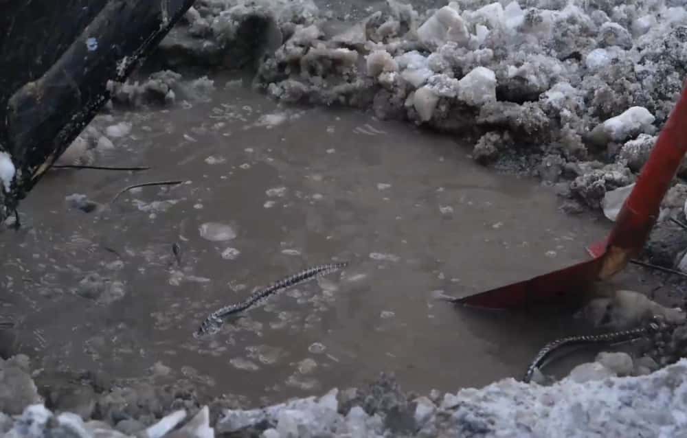 Тайна потопов в Нижнем Тагиле раскрыта: под домом на Дружинина обнаружили родник