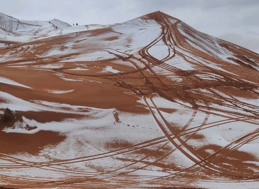 Жители Алжира не узнали родную пустыню: Сахару накрыло снегопадом — такое происходит очень редко 