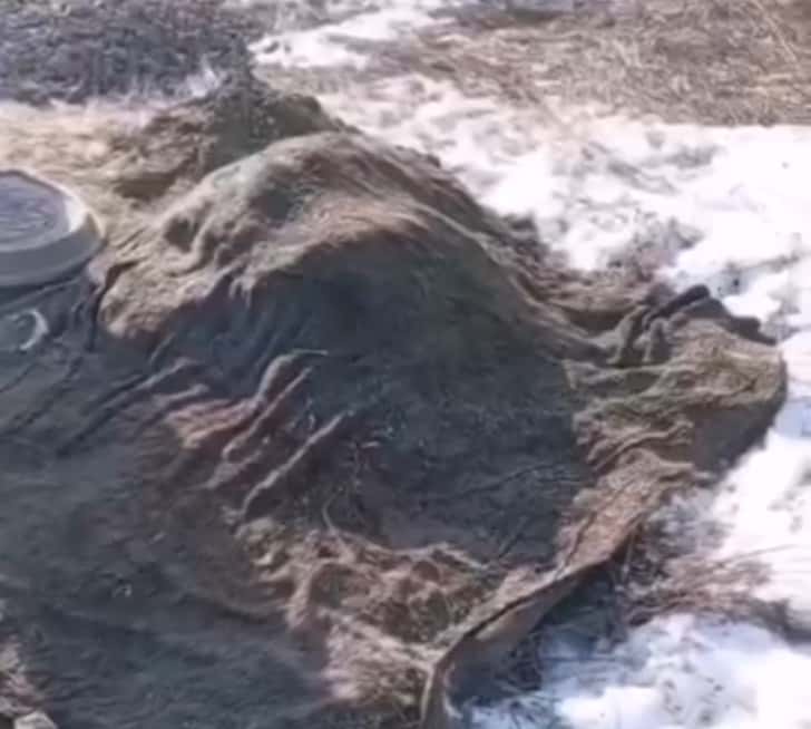 Что только не находят в канализации Нижнего Тагила — коммунальщики поделились очередным «сокровищем» 