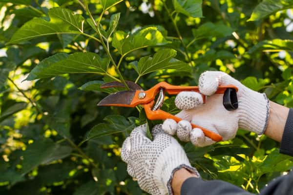 Штрафы для дачников в 2026 году — 10 главных нарушений с суммами и законами