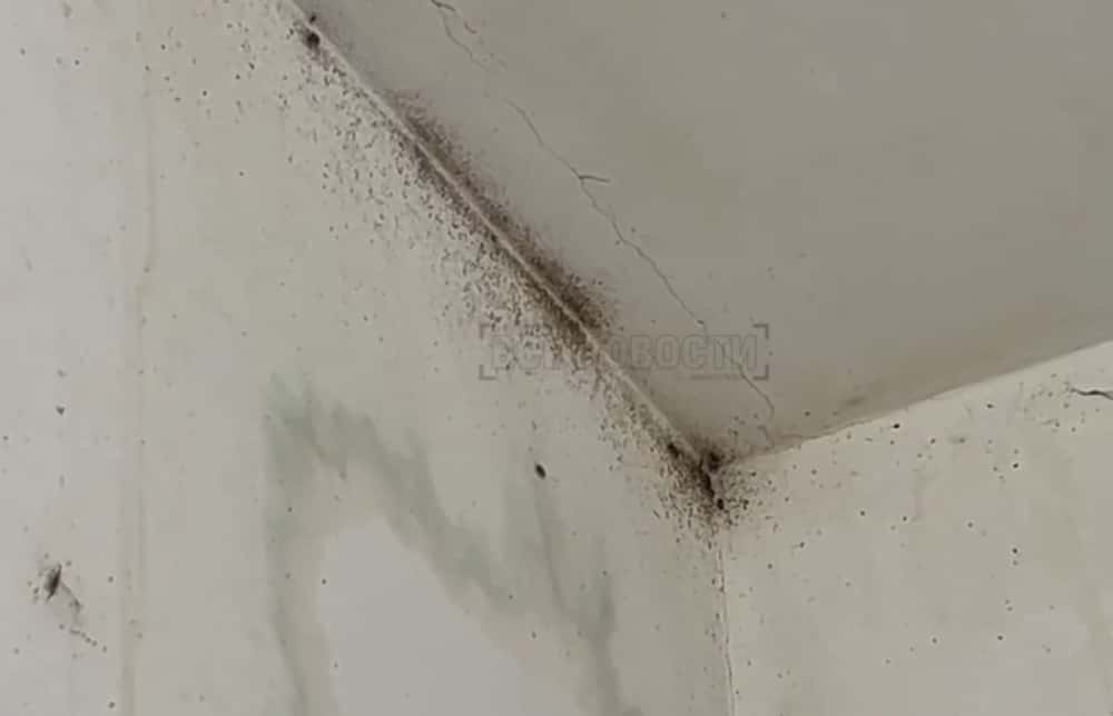 Тараканы, клопы и голый мужик с утюгом: новостройка в Нижнем Тагиле оказалась в заложниках у маргинальных соседей