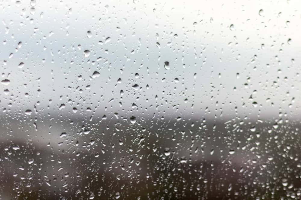 Новый циклон надвигается на Свердловскую область: всё о погоде в регионе на 23-25 апреля — прогноз 