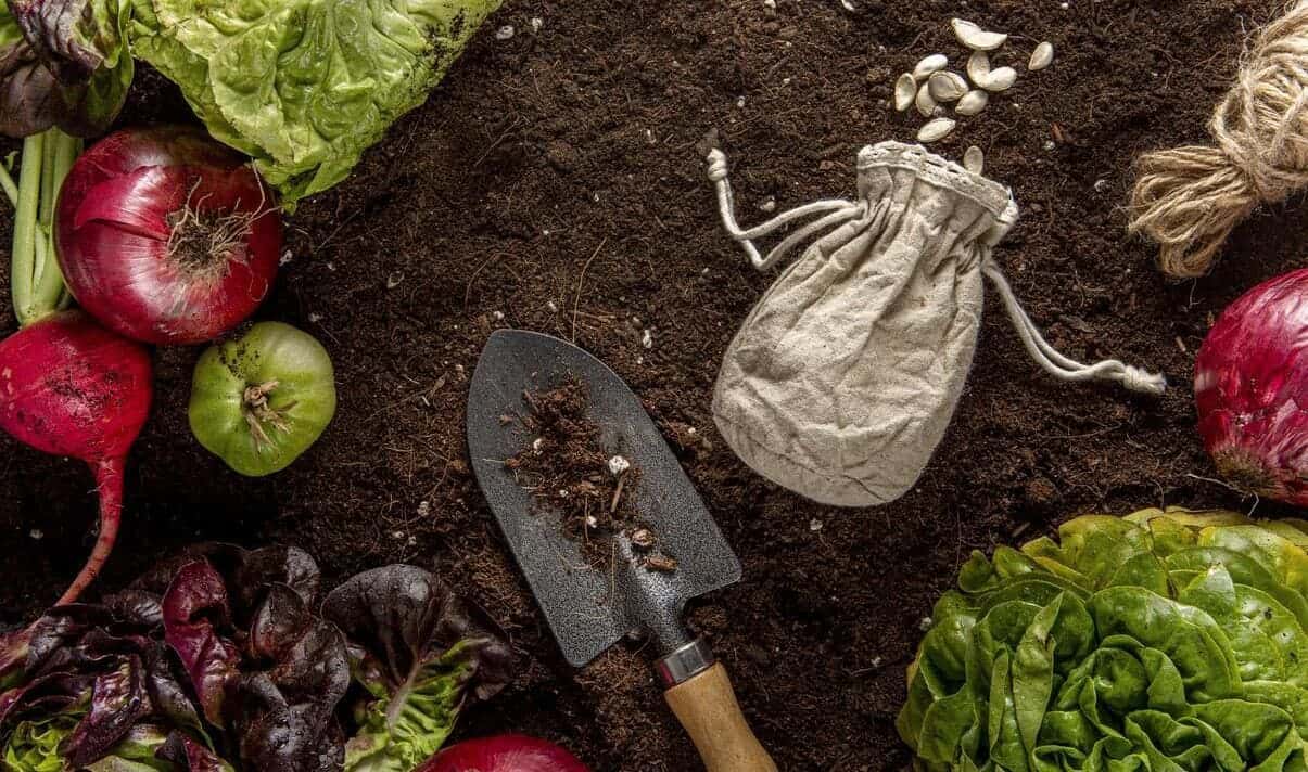 Лунный посевной календарь 2026 для садоводов и огородников: что и когда сажать на даче 