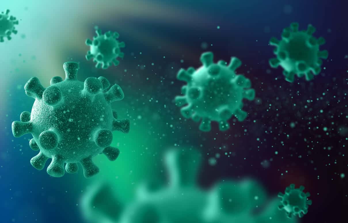 Смертельный вирус Нипах, от которого нет лекарства: как не заразиться — мнение врачей