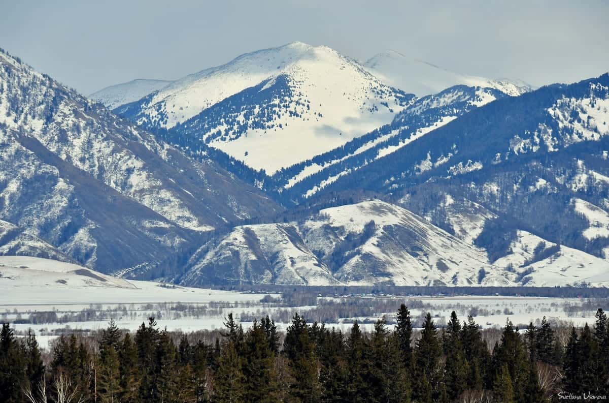 Как встретить весну в старообрядческих сёлах Алтая — рассказы путешественников 
