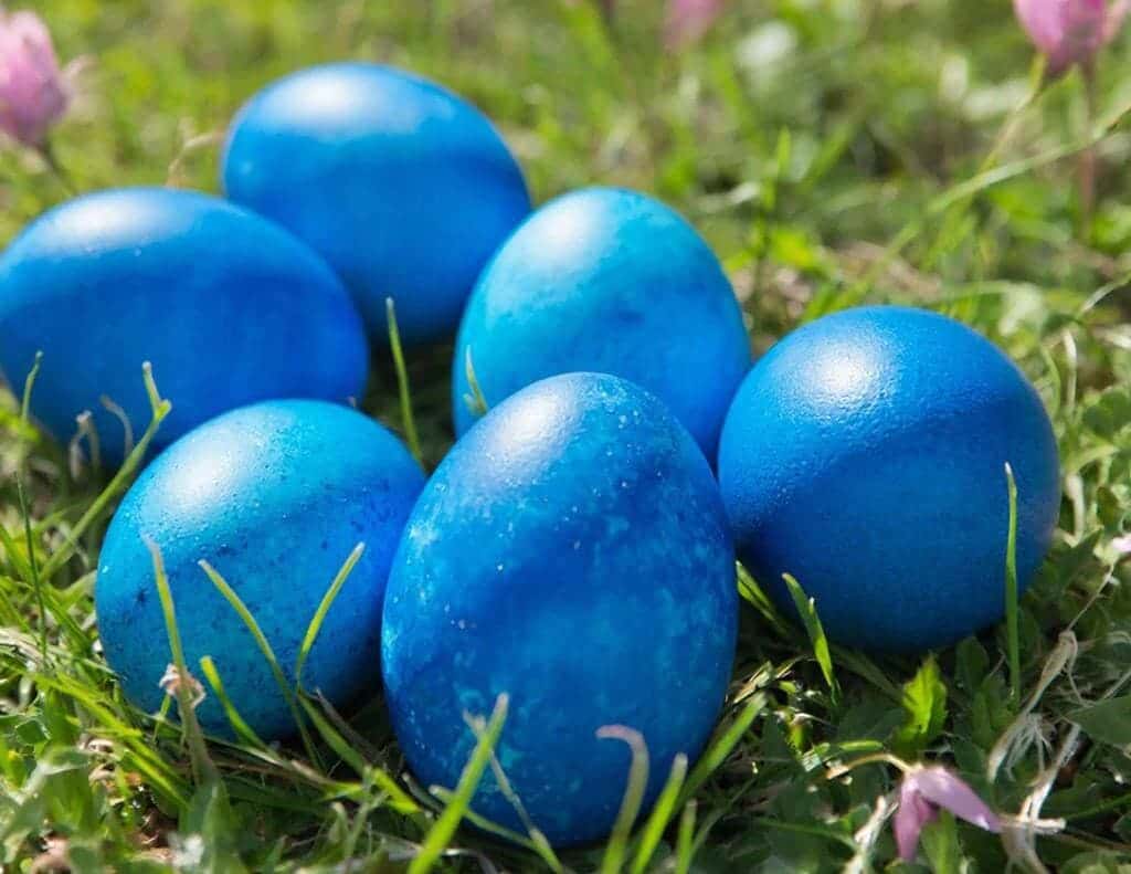 Все привыкли к луковой шелухе, а тут — космический синий: 3 часа в капусте — и яйца как с другой планеты