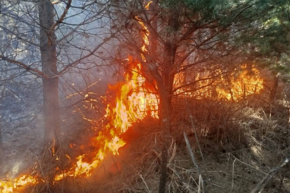 Под Нижним Тагилом произошел крупный пожар, который распространялся в сторону леса | На Урале неосторожное обращение с огнем привело к крупному ландшафтному пожару