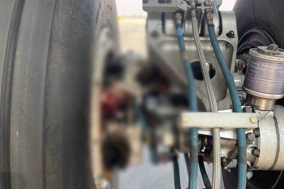 Птицы попали в двигатель самолета, летевшего из Екатеринбурга во Владивосток | В двигатель самолета с россиянами на борту попали птицы