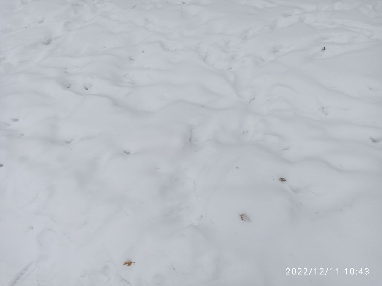 Нижний Тагил попал в зону мощного снегопада