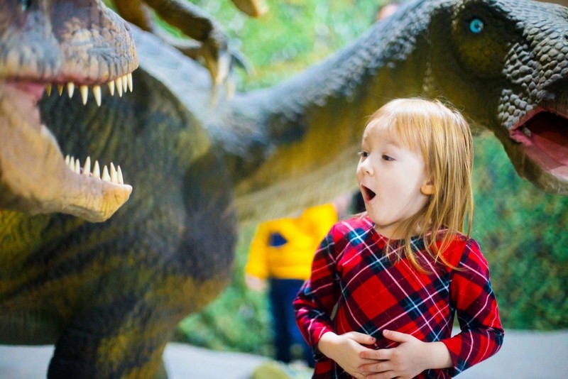 Динозавры и Бабочки: Двойная выставка в Нижнем Тагиле с 13 апреля по 12 мая | «Ожившие» динозавры и 60 тропических бабочек! В Нижнем Тагиле состоятся две уникальные выставки