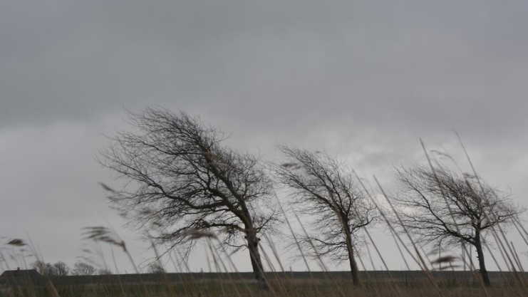 Штормовое предупреждение в Свердловской области: ветер до 18 м/с | МЧС предупредило о сильном ветре в Свердловской области