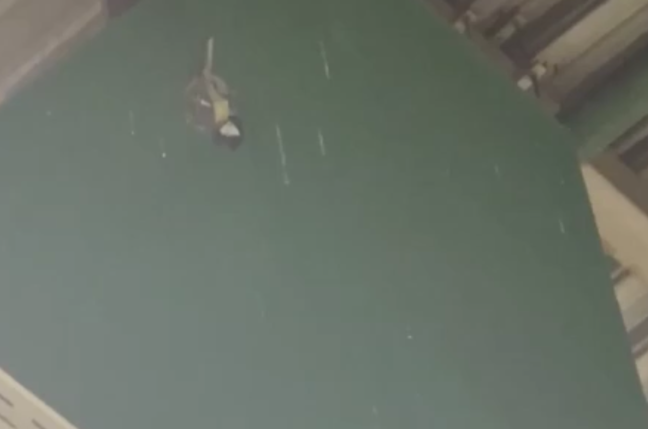 Сенсация в "О'кей": Кладбище синичек на потолке гипермаркета в Екатеринбурге