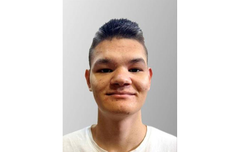 В Екатеринбурге ищут пропавшего 16-летнего Романа Дмитриева | В Екатеринбурге пропал 16-летний подросток