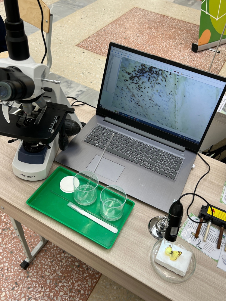Юные натуралисты Нижнего Тагила делают открытие | Юные натуралисты Нижнего Тагила делают открытие