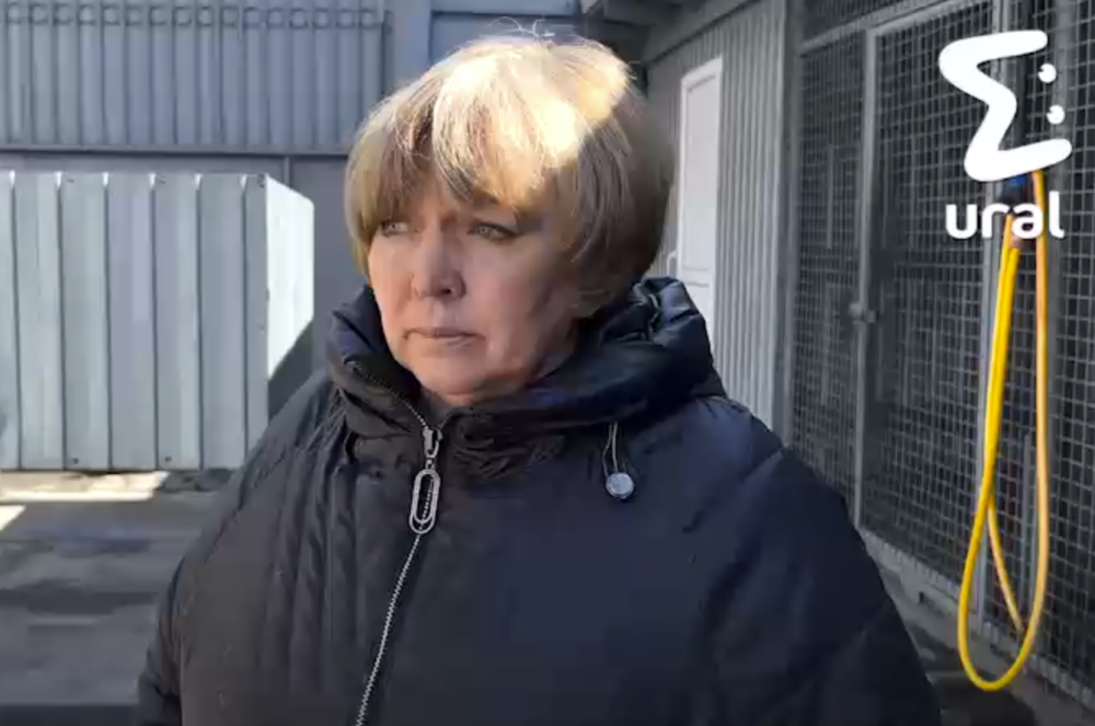 Владелица отлова собак в Нижнем Тагиле: спасение от безалаберных хозяев | Владелица отлова собак в Нижнем Тагиле: спасение от безалаберных хозяев