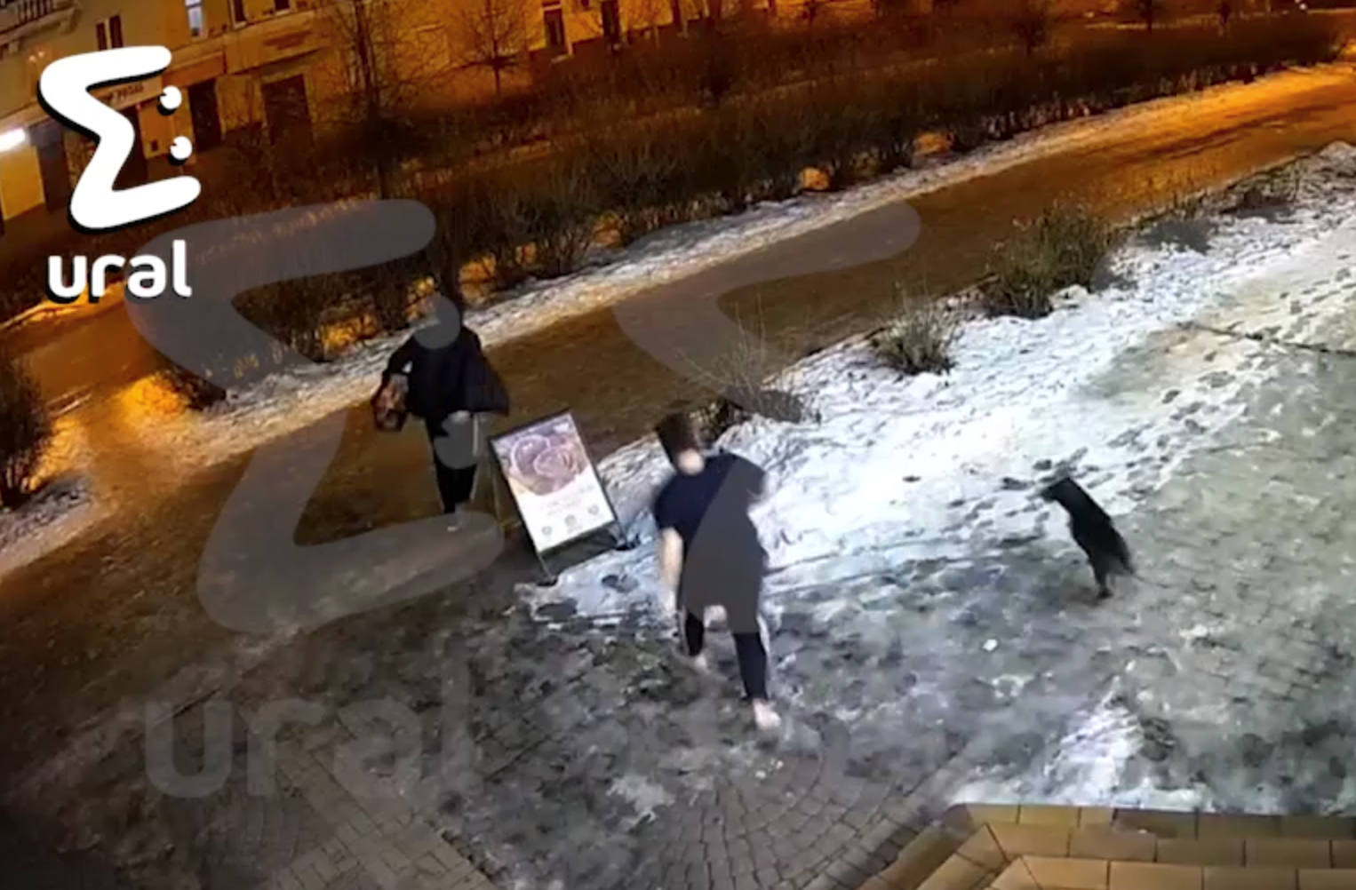 Пес-Охранник стал защитником порядка в тагильском магазине