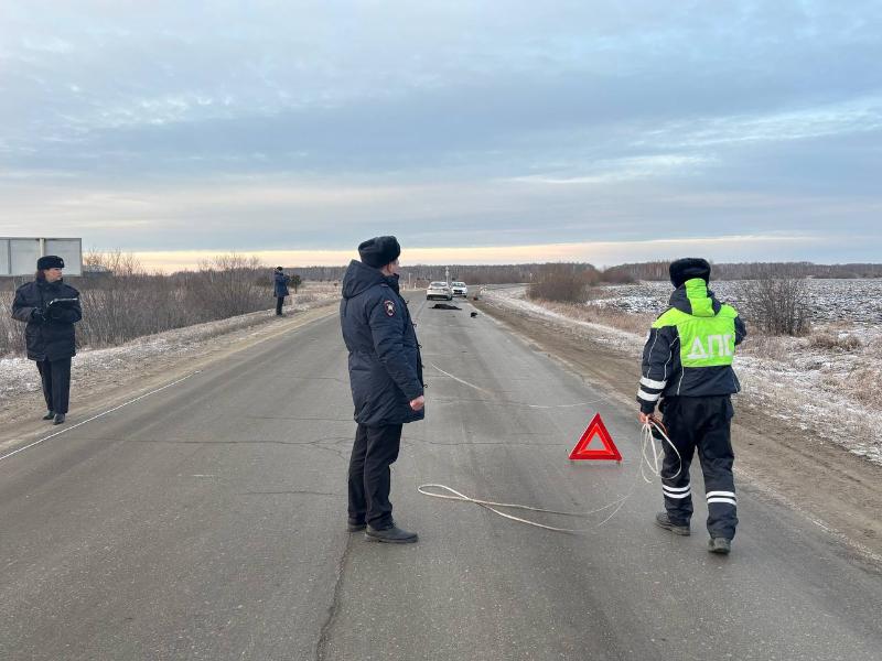 В Свердловской области водитель сбил насмерть 85-летнего пенсионера | На Урале водитель насмерть сбил пожилого мужчину